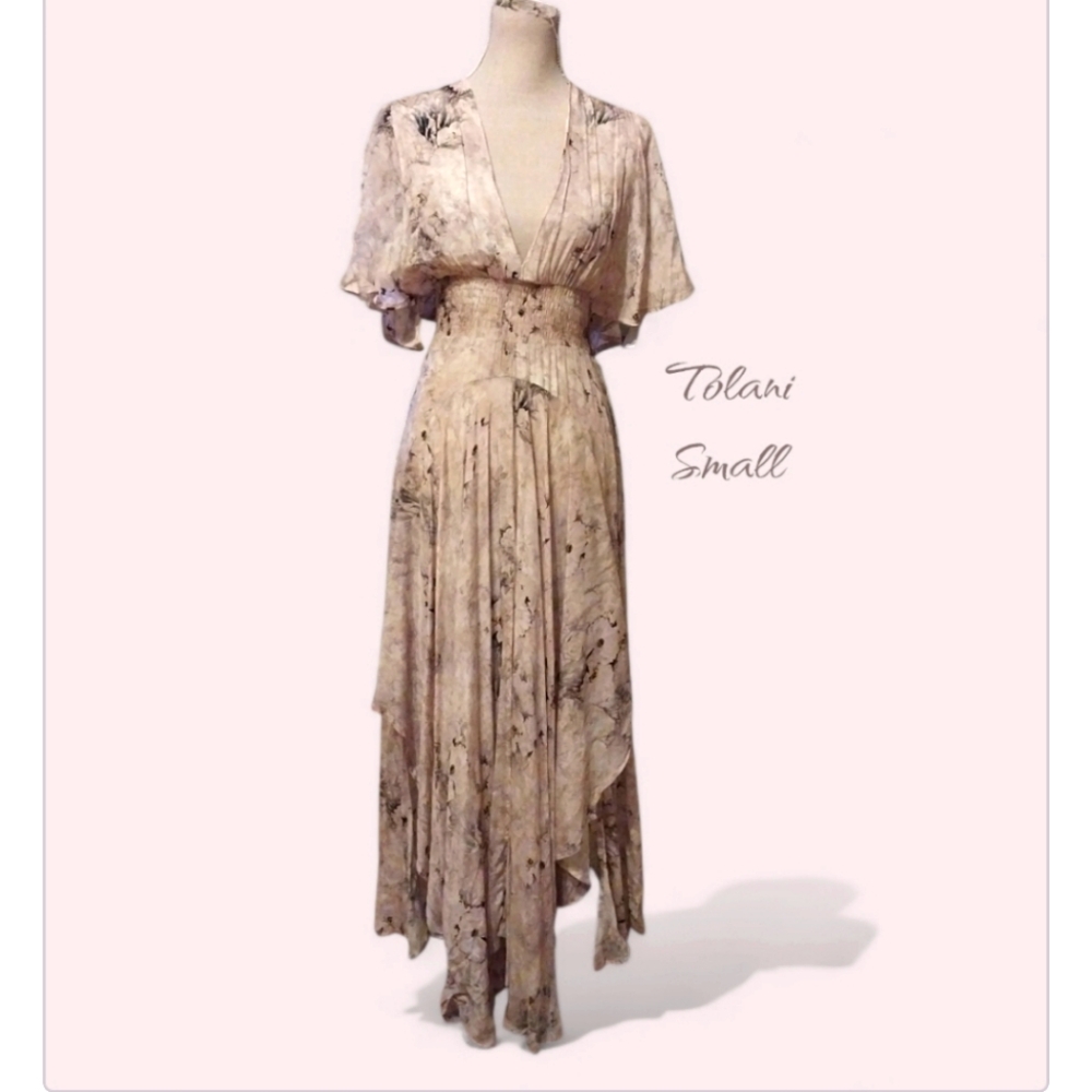 Beautiful Tolani Dress
